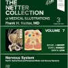 The Netter Collection Of Medical Illustrations: Nervous System, Volume 7, Part II – Spinal Cord And Peripheral Motor And Sensory Systems, 3rd Edition (PDF)