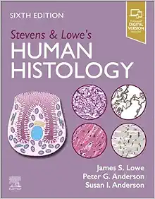 Stevens & Lowe’s Human Histology, 6th Edition (PDF Book)