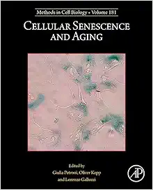 Cellular Senescence And Aging (Volume 181) (Methods In Cell Biology, Volume 181) (PDF)