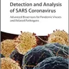 Detection And Analysis Of SARS Coronavirus: Advanced Biosensors For Pandemic Viruses And Related Pathogens (EPUB)