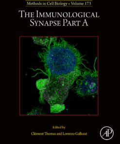 The Immunological Synapse Part A, Volume 173 (EPUB)