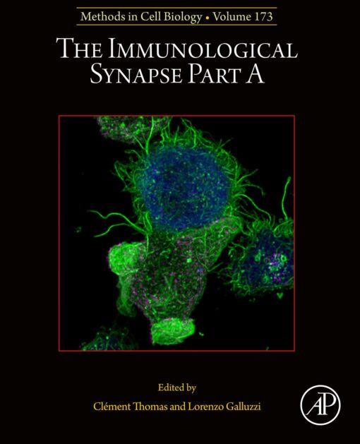 The Immunological Synapse Part A, Volume 173 (EPUB)