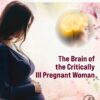The Brain Of The Critically Ill Pregnant Woman (PDF)