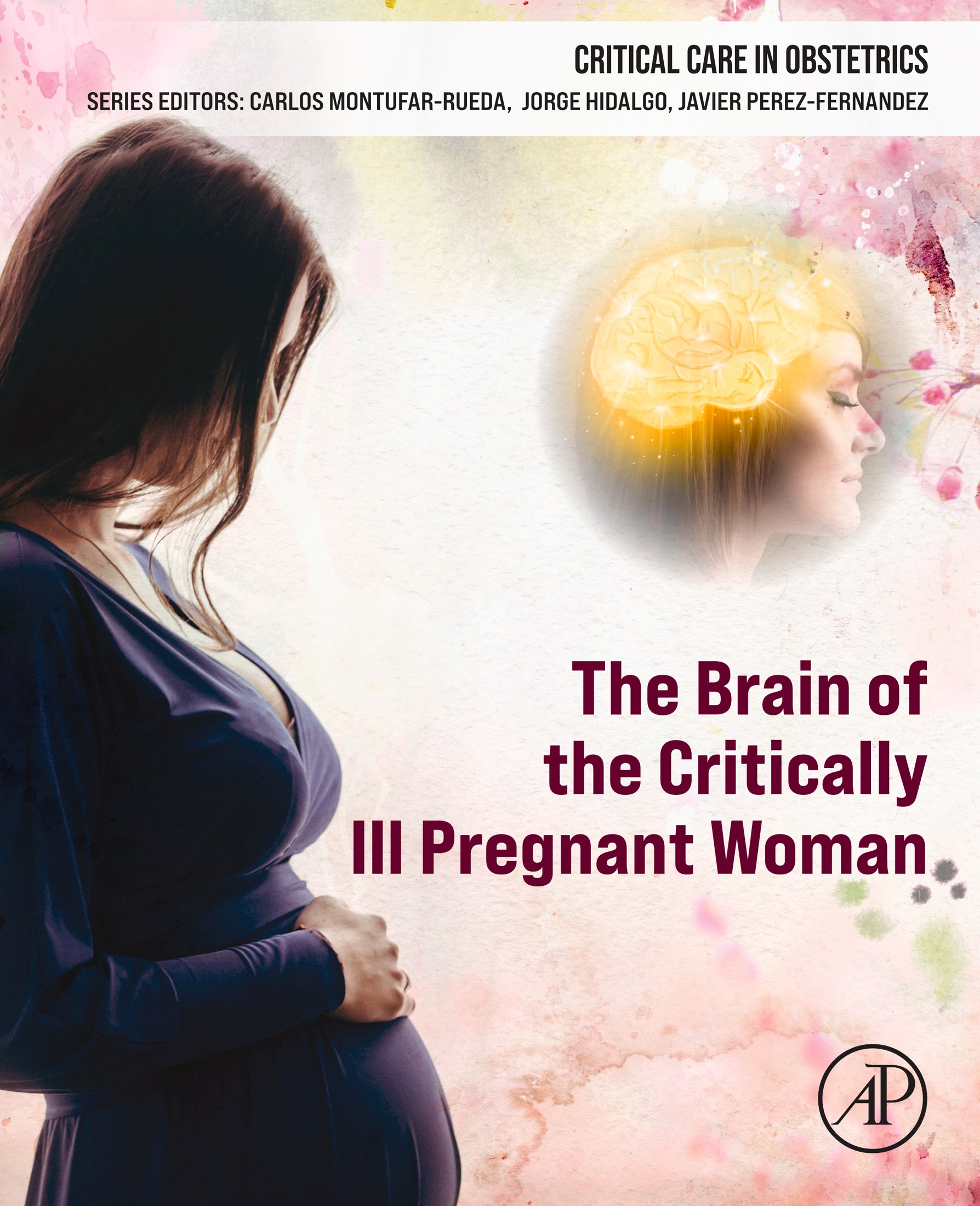 The Brain Of The Critically Ill Pregnant Woman (PDF Book)