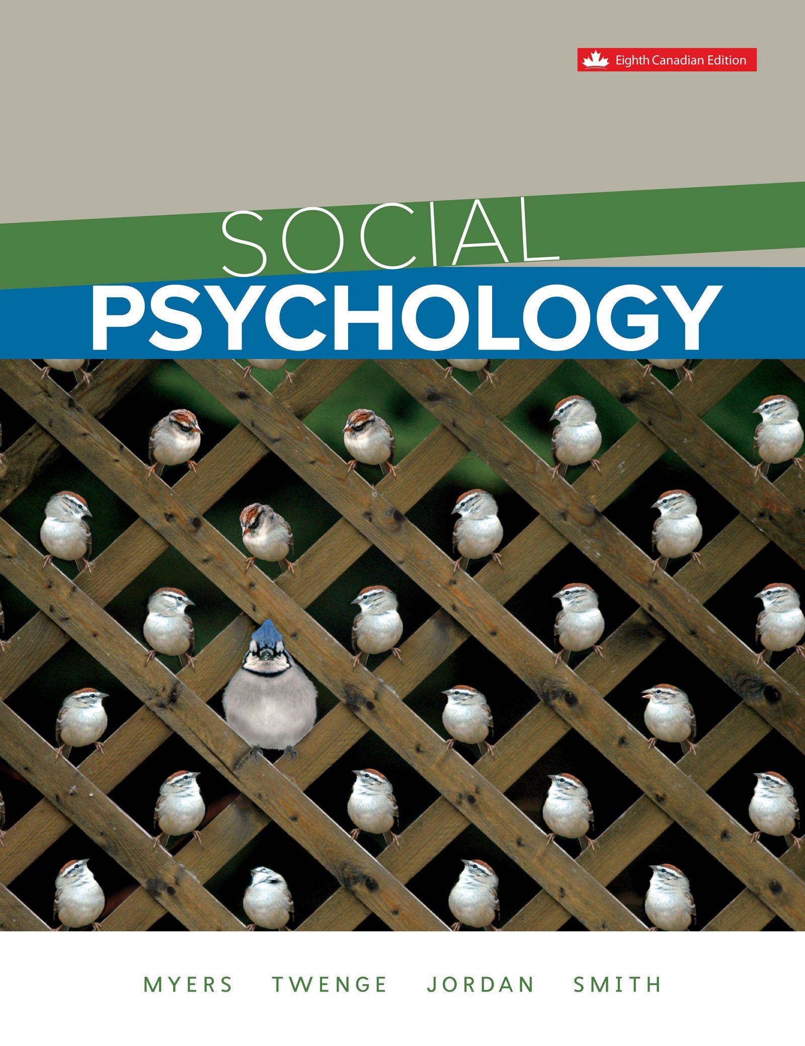 Social Psychology (Canadian Edition), 8th Edition (ePub)