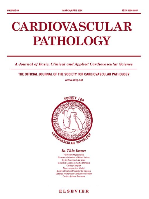 Cardiovascular Pathology: Volume 68 to Volume 69 2024 PDF