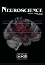 Neuroscience: Volume 452 to Volume 479 2021 PDF