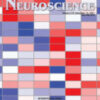 Neuroscience: Volume 452 to Volume 479 2021 PDF