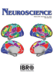 Neuroscience: Volume 480 to Volume 507 2022 PDF