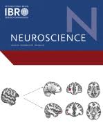 Neuroscience: Volume 508 to Volume 535 2023 PDF