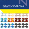 Neuroscience: Volume 536 to Volume 543 2024 PDF