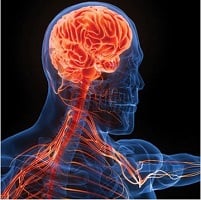 Samuels Comprehensive Review Of Neurology 2023 (Videos)