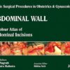 Single Surgical Procedures in Obstetrics and Gynaecology–27: A Colour Atlas of Abdominal Incisions 1st Edition (PDF)