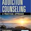 Addiction Counseling: A Practical Approach (EPUB)
