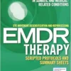 Eye Movement Desensitization And Reprocessing (EMDR) Therapy Scripted Protocols And Summary Sheets: Treating Trauma In Somatic And Medical Related Conditions (EPUB)
