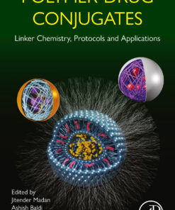 Polymer-Drug Conjugates: Linker Chemistry, Protocols And Applications (EPUB)