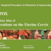 Cervix: A Colour Atlas of Operations on the Uterine Cervix: 7 (Single Surgical Procedures in Obstetrics and Gynaecology) 1st Edition (PDF)