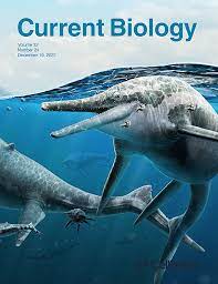 Current Biology: Volume 32 (Issue 1 to Issue 24) 2022 PDF