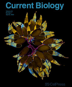 Current Biology: Volume 34 (Issue 1 to Issue 7) 2024 PDF