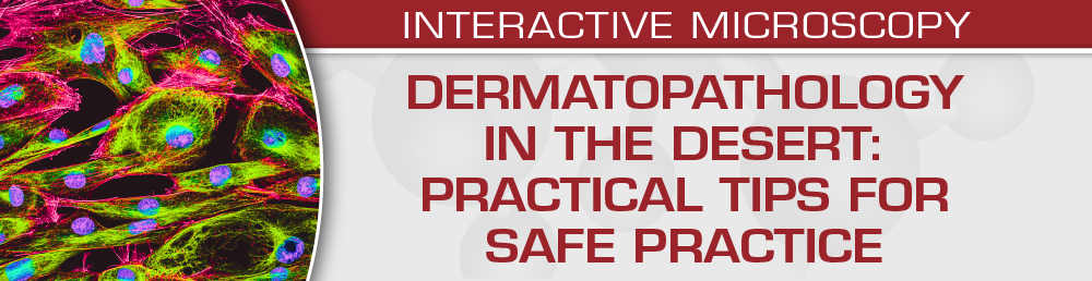 Dermatopathology in the Desert: Practical Tips for Safe Practice
2024