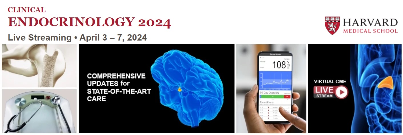 Harvard Clinical Endocrinology 2024 (Videos + Slides)