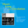 Heart, Lung and Circulation: Volume 33 ( Issue 1 to Issue 3)  2024 PDF
