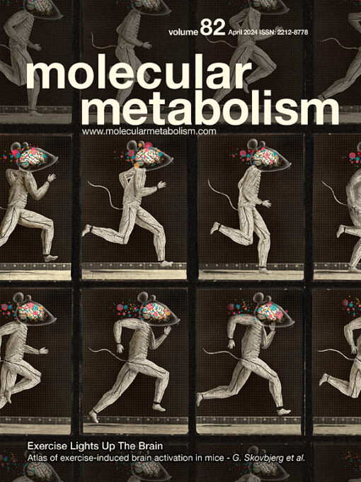 Molecular Metabolism: Volume 78 to Volume 82 2024 PDF