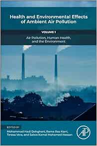 Health And Environmental Effects Of Ambient Air Pollution: Volume 1: Air Pollution, Human Health, And The Environment (Air Pollution, Adverse Effects, And Epidemiological Impact, 1) (EPUB)