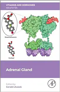 Adrenal Gland (Volume 124) (Vitamins And Hormones, Volume 124) (PDF)