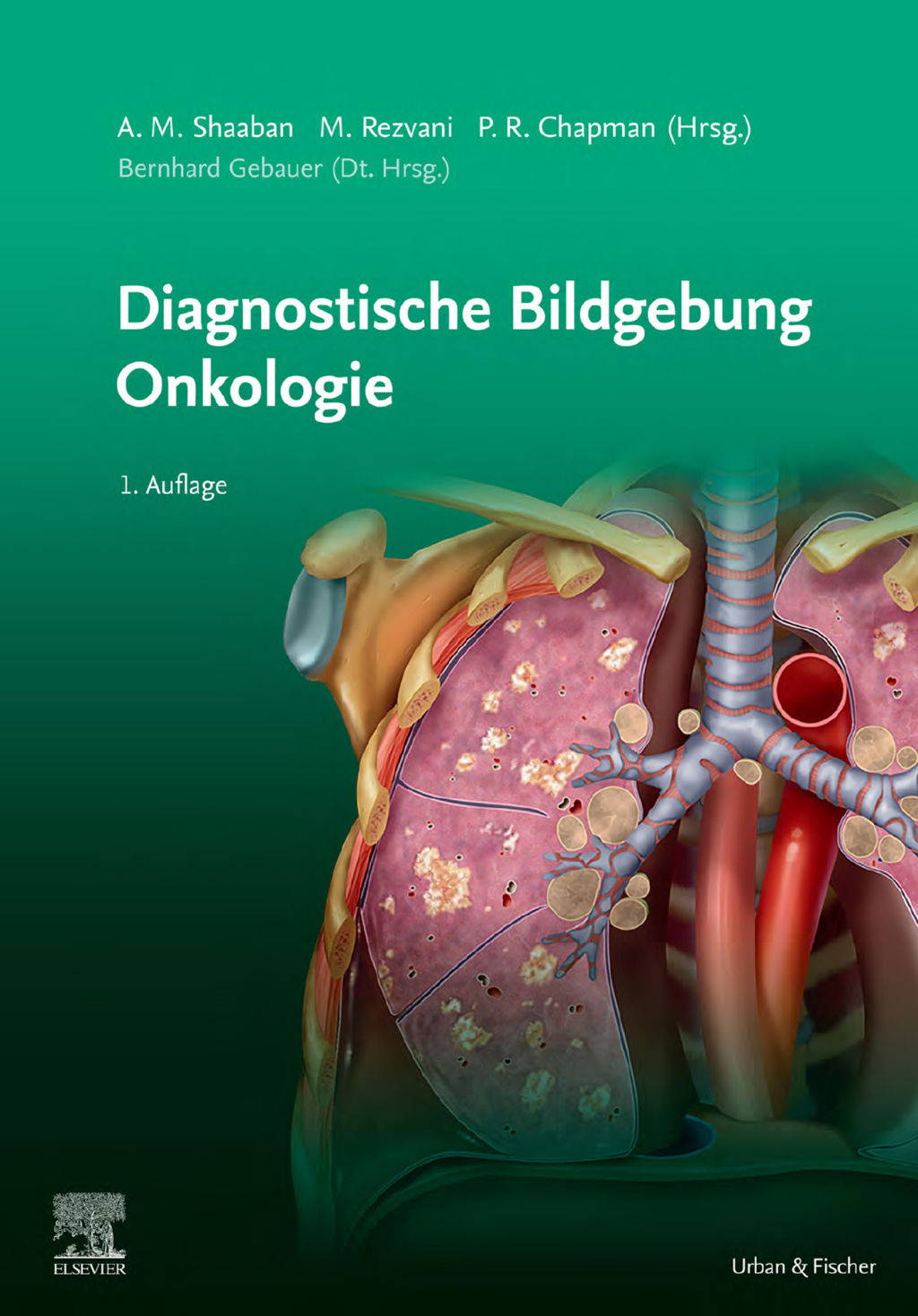 Diagnostische Bildgebung Onkologie (PDF)
