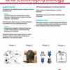 Circulation: Arrhythmia and Electrophysiology: Volume 17 (1 – 4) 2024 PDF