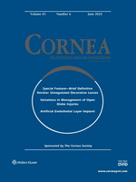 Cornea: Volume 41 (1 – 12) 2022 PDF