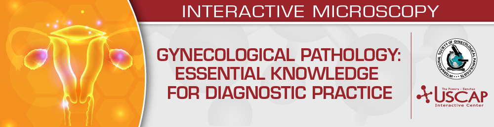Gynecological Pathology 2024: Essential Knowledge for Diagnostic Practice
