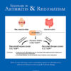 Seminars in Arthritis and Rheumatism: Volume 64 to Volume 65 2024 PDF