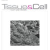 Tissue and Cell: Volume 86 to Volume 87 2024 PDF
