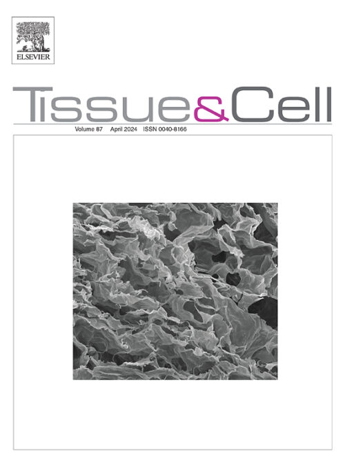 Tissue and Cell: Volume 86 to Volume 87 2024 PDF